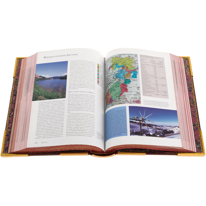Gift set "Wine" with a glass and the book "Wine is the most complete illustrated encyclopedia" by Andre Domine