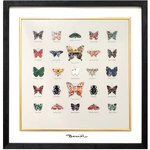 Damir Krivenko's painting "Collection of butterflies XXI"