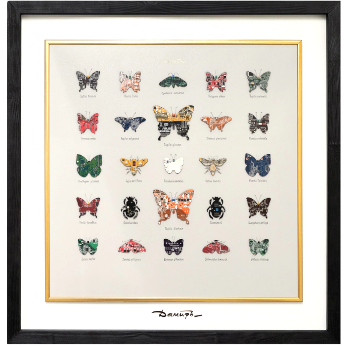 Damir Krivenko's painting "Collection of butterflies XXI"