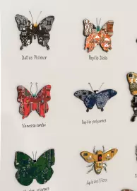 Damir Krivenko's painting "Collection of butterflies XXI"