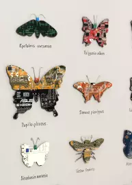 Damir Krivenko's painting "Collection of butterflies XXI"