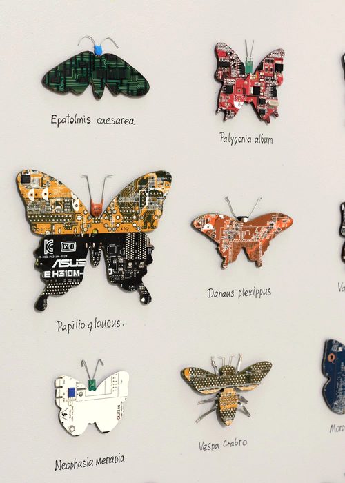 Damir Krivenko's painting "Collection of butterflies XXI"