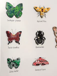 Damir Krivenko's painting "Collection of butterflies XXI"
