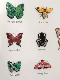 Damir Krivenko's painting "Collection of butterflies XXI"