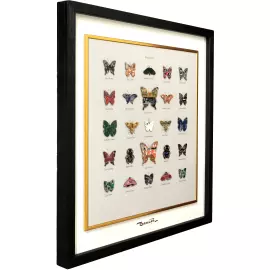 Damir Krivenko's painting "Collection of butterflies XXI"