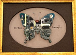 Damir Krivenko's painting "Butterfly" in a gold frame
