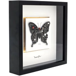 Damir Krivenko's painting "Butterfly" in a black frame