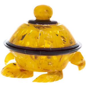 The box made of amber "Turtle"