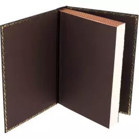 Книга в кожаном переплете "Повелители экономики и финансов. Витте и Столыпин"