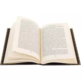 Книга в кожаном переплете "Повелители экономики и финансов. Витте и Столыпин"