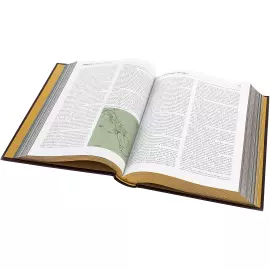 Leather-bound book "Oil and Gas", Zlatoust