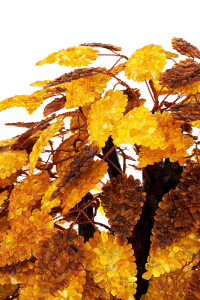 Amber souvenir "Money tree" with 100 branches