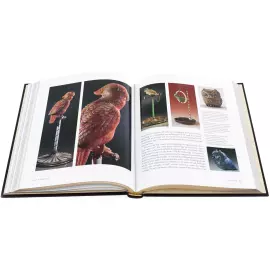 The leather-bound book "Faberge. From the collections of Russian museums" in English