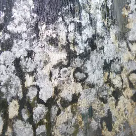 SENSE painting " Starlight" 70x100