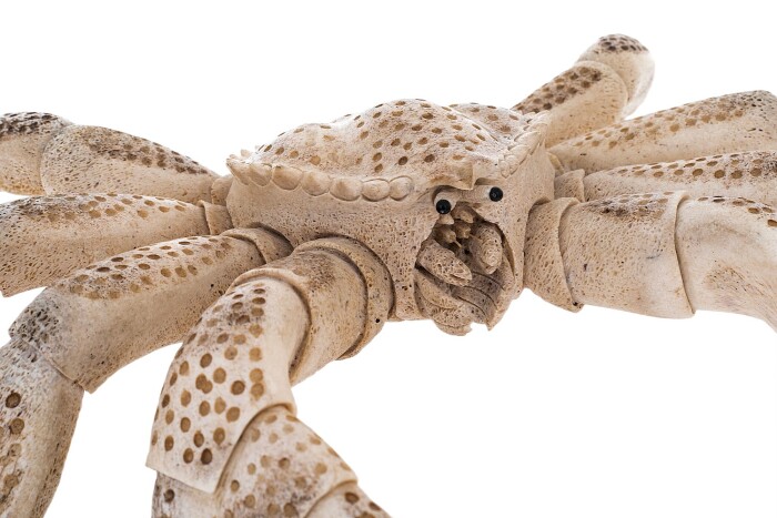Sculpture of a whale bone "Crab"