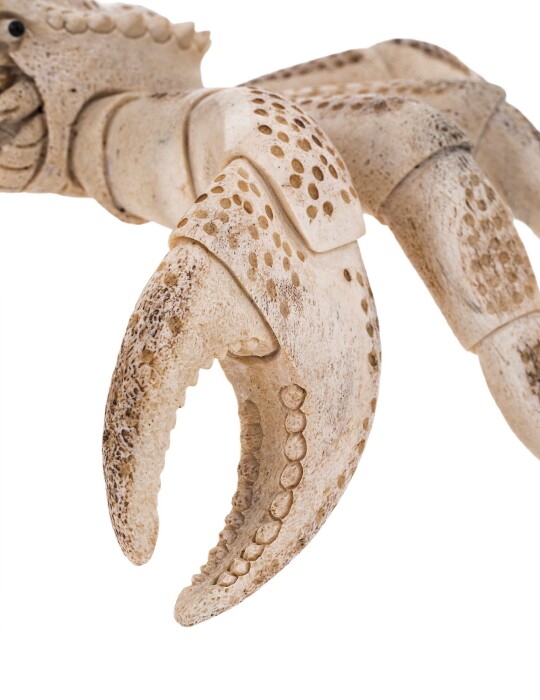 Sculpture of a whale bone "Crab"