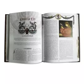 Книга в кожаном переплете "Тайные общества. От магов до масонов"