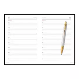 Подарочный набор: шариковая ручка Parker IM Premium K318 Pearl GT с ежедневником