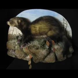 Композиция "Чучело хорька" Композиция "Чучело хорька"