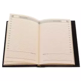 Leather-bound diary "The story of my success"