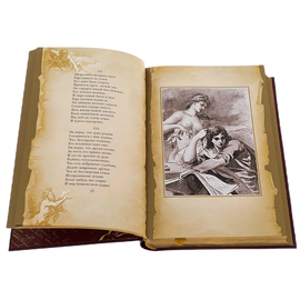 Книга подарочная "Евгений Онегин" А.С. Пушкин