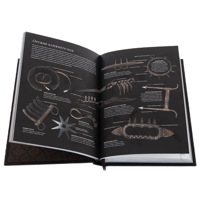 The leather-bound book "The History of Weapons"