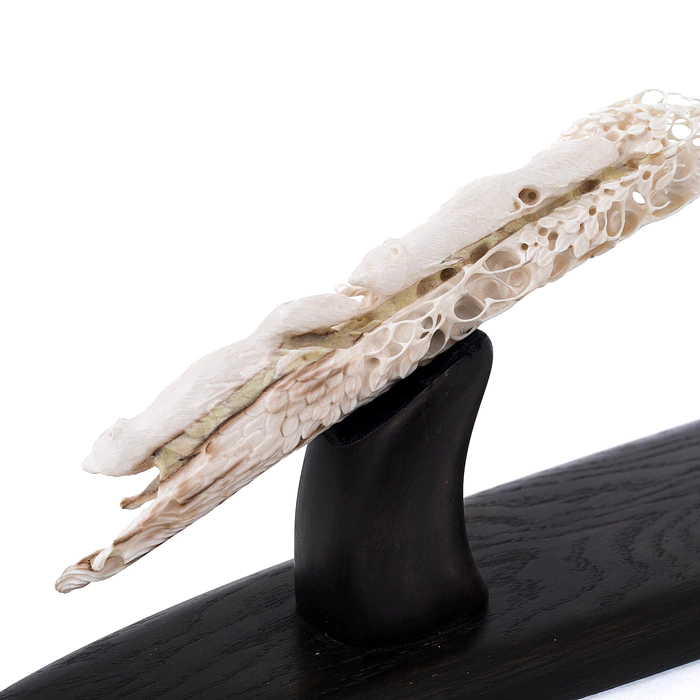 Composition of mammoth tusk and stained oak "Hunting of wolves"