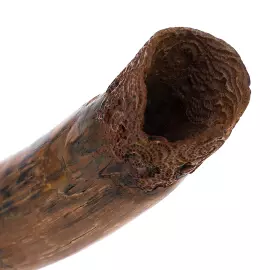 Composition from the collection mammoth tusk "Life"