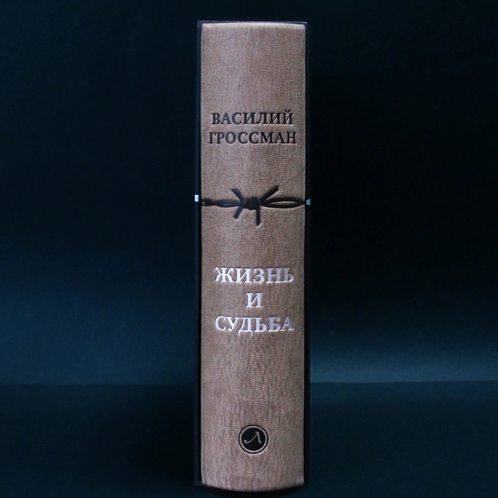 The leather-bound book "Life and Destiny" by Grossman V.