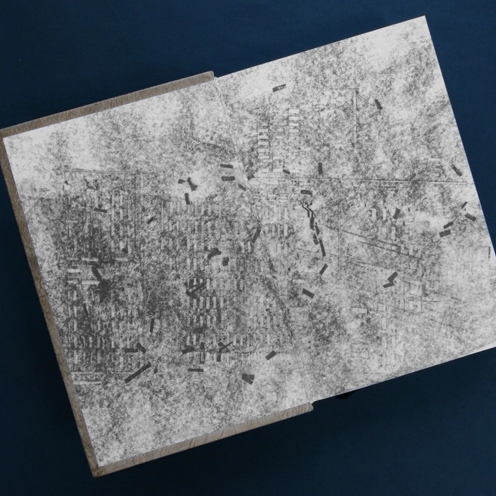 The leather-bound book "Life and Destiny" by Grossman V.