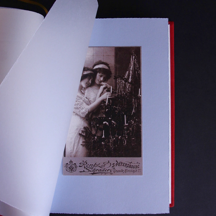 The leather-bound book "Yuletide stories" by F. Nefedov.