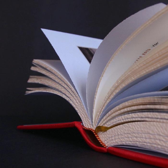 The leather-bound book "Yuletide stories" by F. Nefedov.