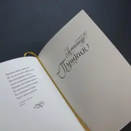 Книга в кожаном переплете "Поэты Золотого века" Книга в кожаном переплете "Поэты Золотого века"