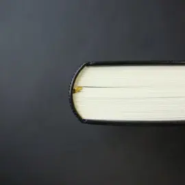 Книга в кожаном переплете "Поэты Золотого века" Книга в кожаном переплете "Поэты Золотого века"