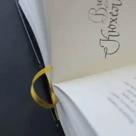 Книга в кожаном переплете "Поэты Золотого века" Книга в кожаном переплете "Поэты Золотого века"