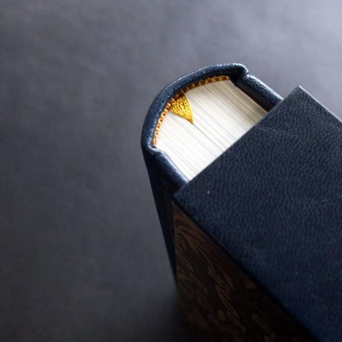 The leather-bound book "Fairy Tales" by Gauf V.