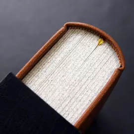 Книга в кожаном переплете "Описание путешествия в Московию и через Московию в Персию и обратно" Олеарий А.