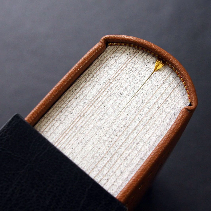 A leather-bound book "Description of a trip to Muscovy and through Muscovy to Persia and back" by Olearius A.