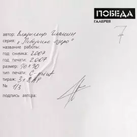 An artistic photograph from the series "Swan Lake" by Vladimir Glynin