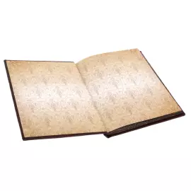 The leather-bound book "The Book of Power, Wealth and Success"