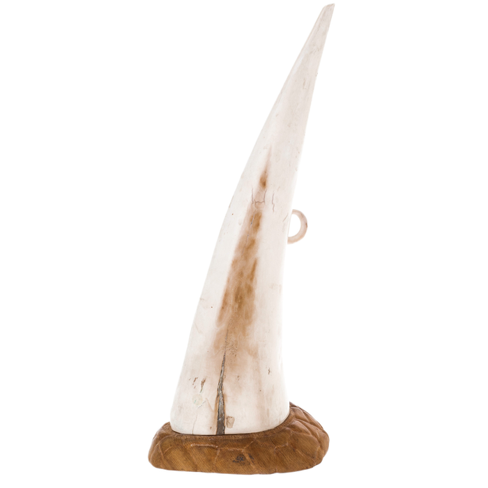 Mammoth tusk composition "Mammoth"