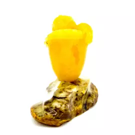 Сувенир из янтаря "Дракон на камне"