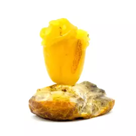 Сувенир из янтаря "Дракон на камне"