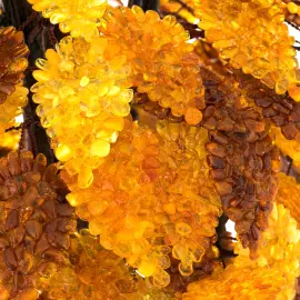 Amber souvenir "Tree of Happiness" 32 branches