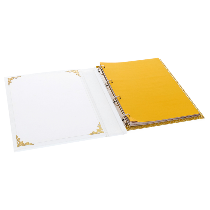 Guest book in a leather cover "Book of honored guests"