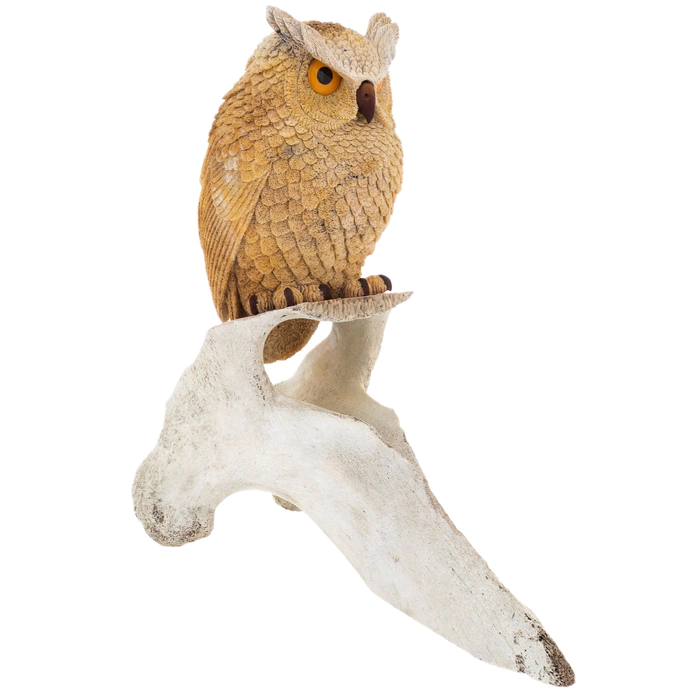 The sculpture of the whale bone "Owl" is large