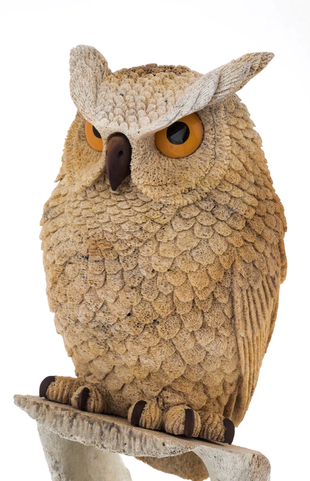 The sculpture of the whale bone "Owl" is large