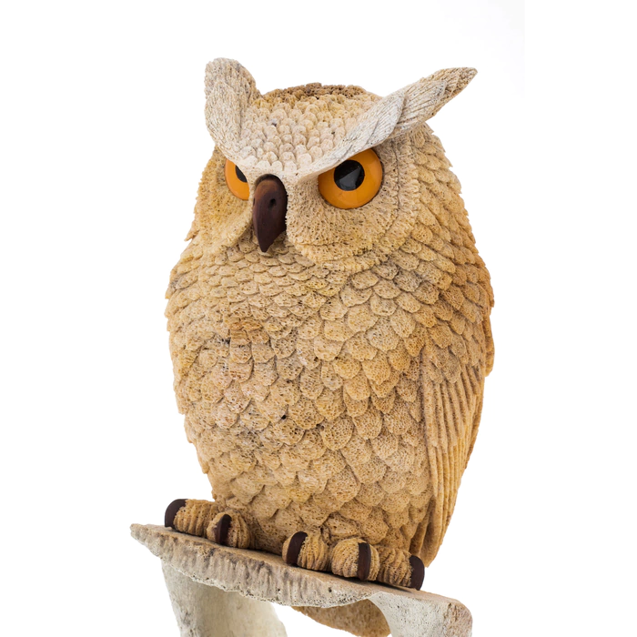 The sculpture of the whale bone "Owl" is large
