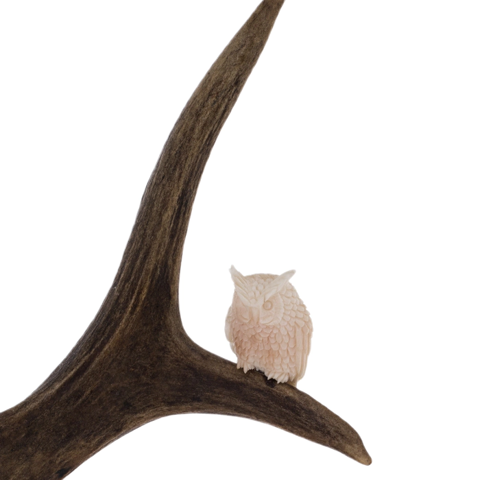 Walrus tusk statuette "Walk, bears"