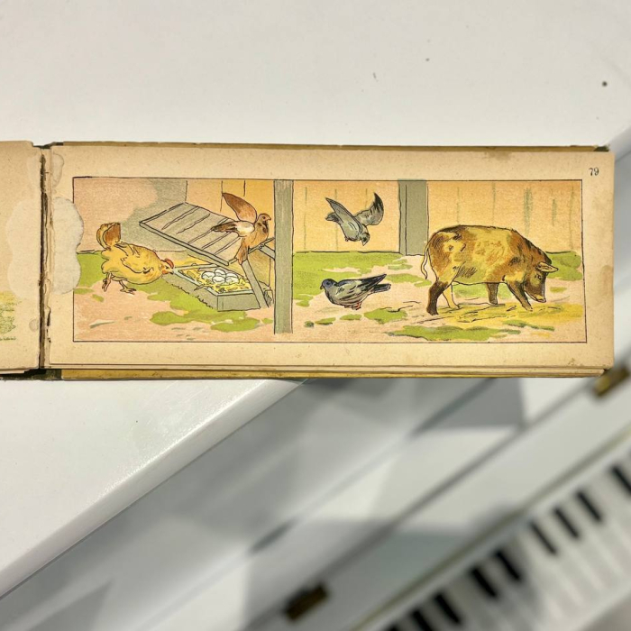 Книга «Посмотри-ка! Мир малютки» Санкт-Петербург, издательство Девриена, 1905 год